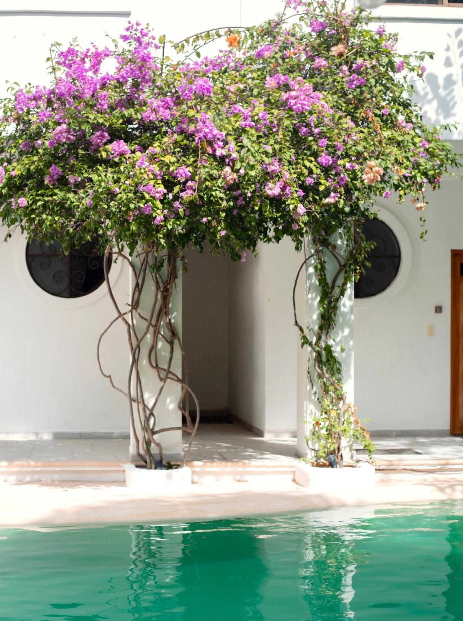 Sonido Del Mar Hotel Boutique & Yoga Loft Tulum Exterior foto